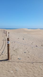 GC-Mirador Dunas de Maspalomas 2026-24.jpg